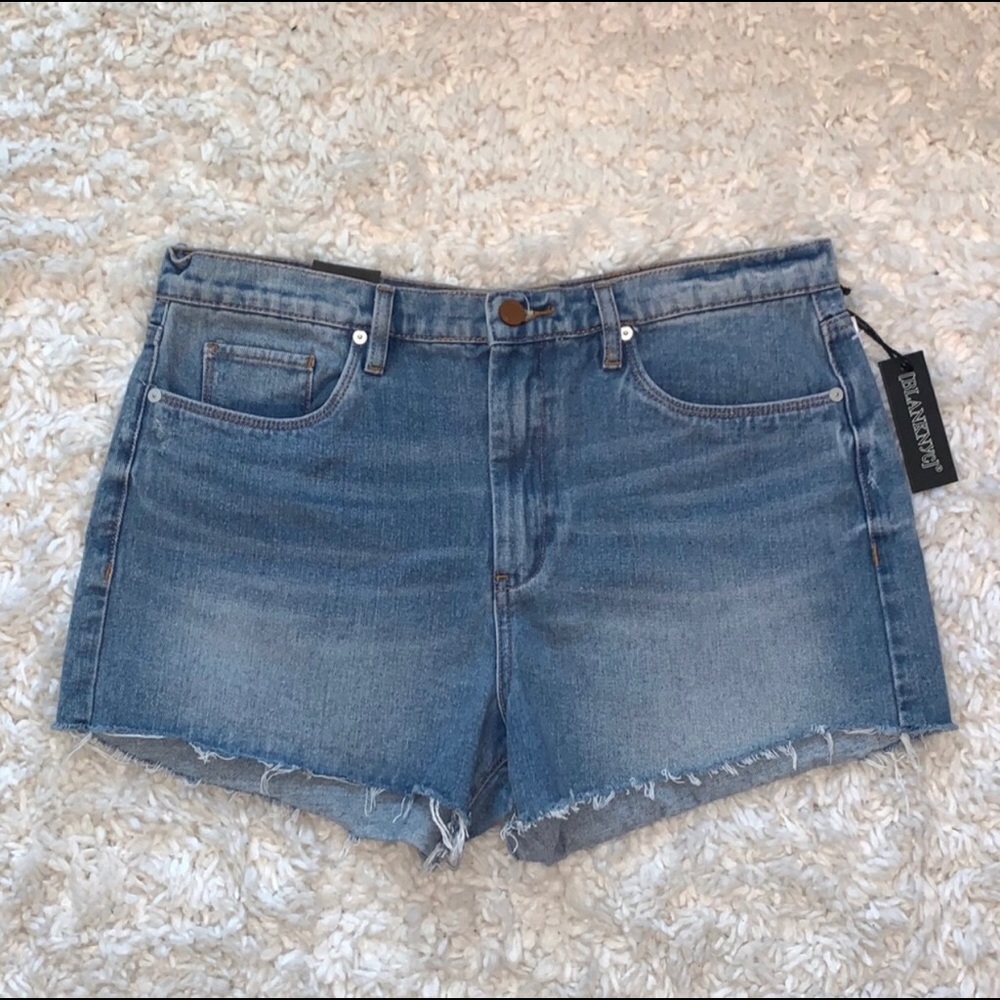 BlankNYC Denim Vintage High Rise Distressed Short